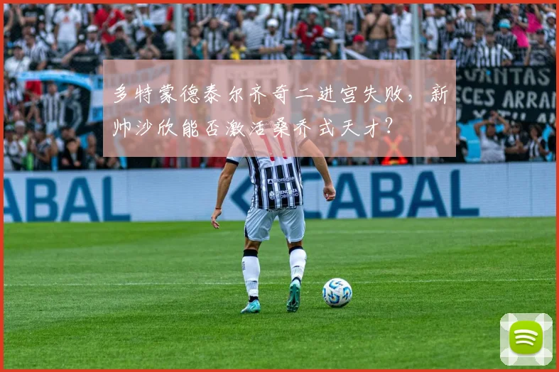 多特蒙德泰尔齐奇二进宫失败，新帅沙欣能否激活桑乔式天才？